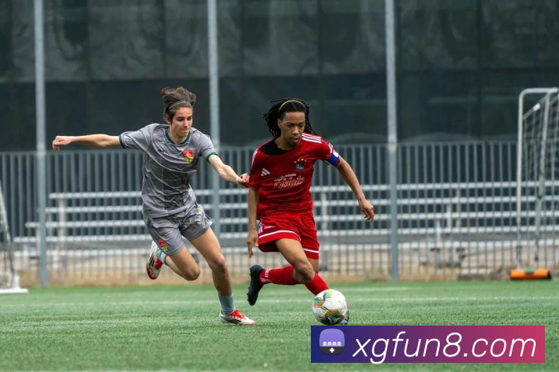 多媒体互动体验